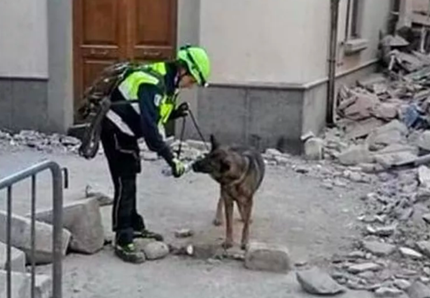 Addio Oxy, il cane eroe